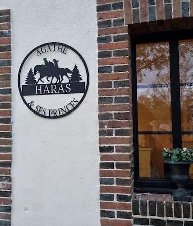 Gite Au Haras D'Agathe Et Ses Princes Les Barils Zewnętrze zdjęcie