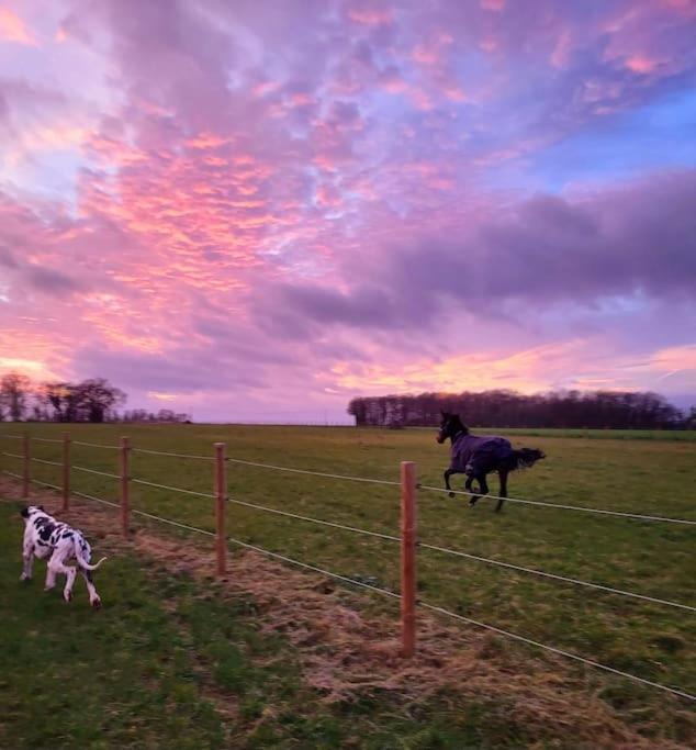 Gite Au Haras D'Agathe Et Ses Princes Les Barils Zewnętrze zdjęcie