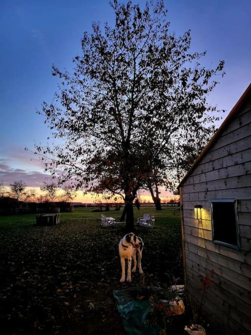 Gite Au Haras D'Agathe Et Ses Princes Les Barils Zewnętrze zdjęcie