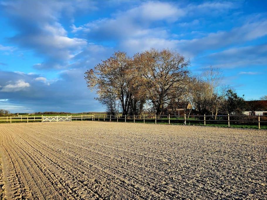 Gite Au Haras D'Agathe Et Ses Princes Les Barils Zewnętrze zdjęcie