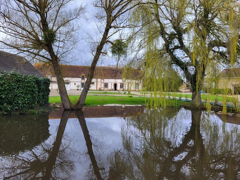 Gite Au Haras D'Agathe Et Ses Princes Les Barils Zewnętrze zdjęcie